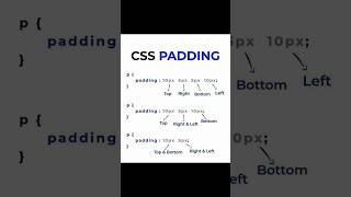 css padding using css #coding #webdesign #rockstarsomayt #htmlcss #codingshorts #css