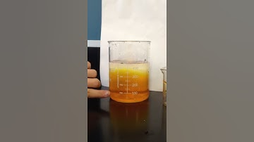 Lab #4 Saltwater/Freshwater Video