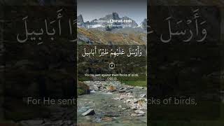 The Army of the Elephant 🐘 | Surah Al-Fil (Quran 105)
