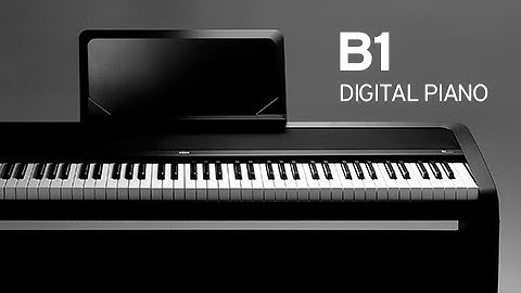 KORG B1: Digital Piano Introduction