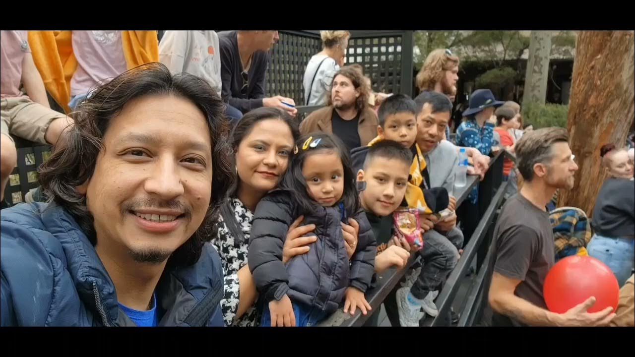 Australian Reptile Park 2022 YouTube