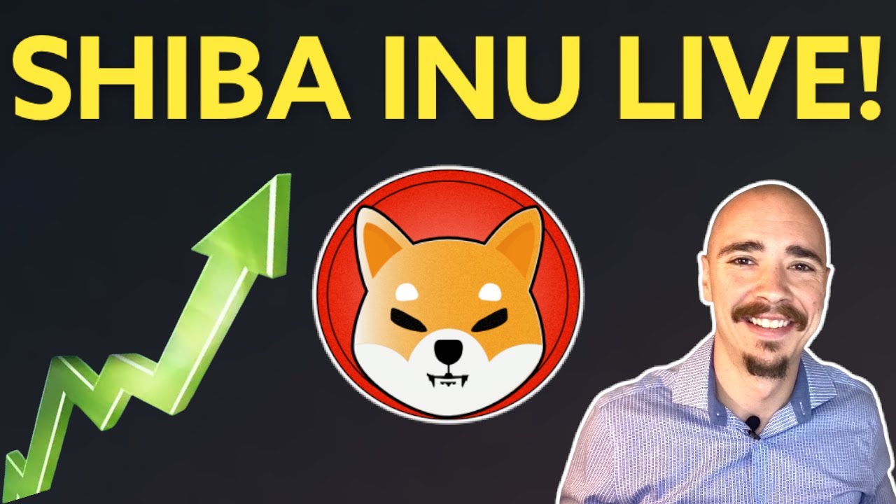 SHIBA INU LIVE 1 CENT SHIBA IS ALIVE YouTube shiba-inu-live-1-cent-shiba-is-alive-youtube