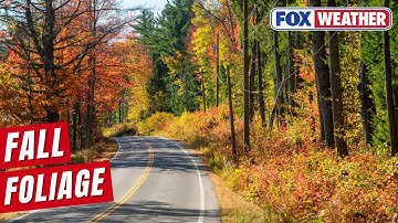 Tourism In Mount Washington Valley Remains Strong Despite Muted Fall Foliage Season
