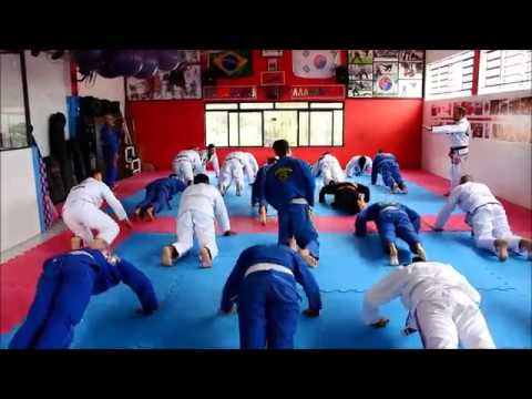 Seminário Completo Feu Bjj   Um Dos melhores Até hoje 2018