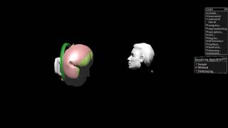 Path Tracing Glitch