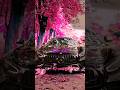 car edit#caredit#edit#cars