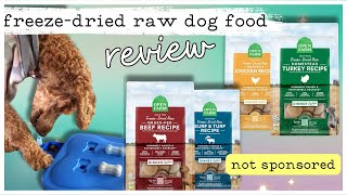 Open Farms FreezeDried Raw Dog Food Review #freezedrieddogfood #notsponsored