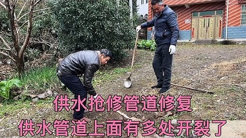 埋在地下自来水管漏水了，真的是没想到罪魁祸首竟然是“它”
