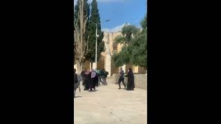 جيش إسرائيلي  يضرب بنت وشاهد رد الفعل