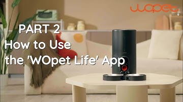 How to Connect to App | WOpet Heritage Air Smart Pace Feeder