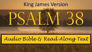 Psalm 38 | KJV DRAMATIZED AUDIO BIBLE WITH TEXT