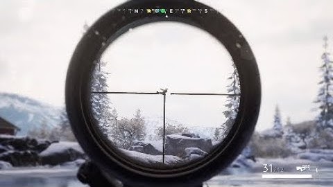 The Ultimate Vigor Strategy Guide