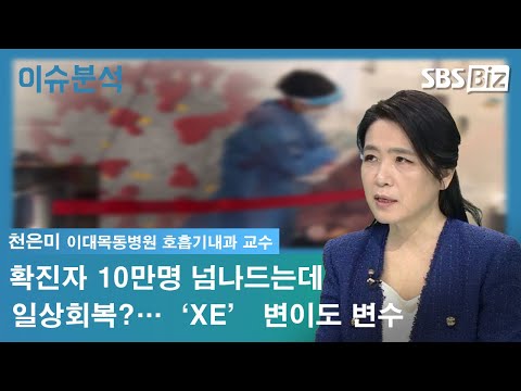 …‘<strong>XE</strong>’ 변이도 변수