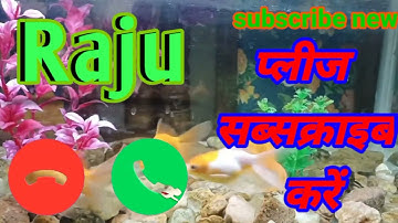 Raju naam ka best ringtone || राजू नाम का सबसे बेस्ट रिंगटोन // 2022 //