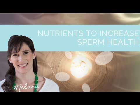 4 nutrients to increase sperm count | Nourish with Melanie #89