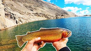 Sight Fishing for Big Alpine Trout Next To Giant Cliffs in the Blue Lakes  of Indian Peaks Wilderness 