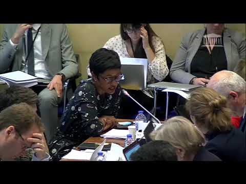 2019.10.16 - PLFSS 2020 - CAS - Intervention d'Ericka Bareigts - Financement de la psychiatrie