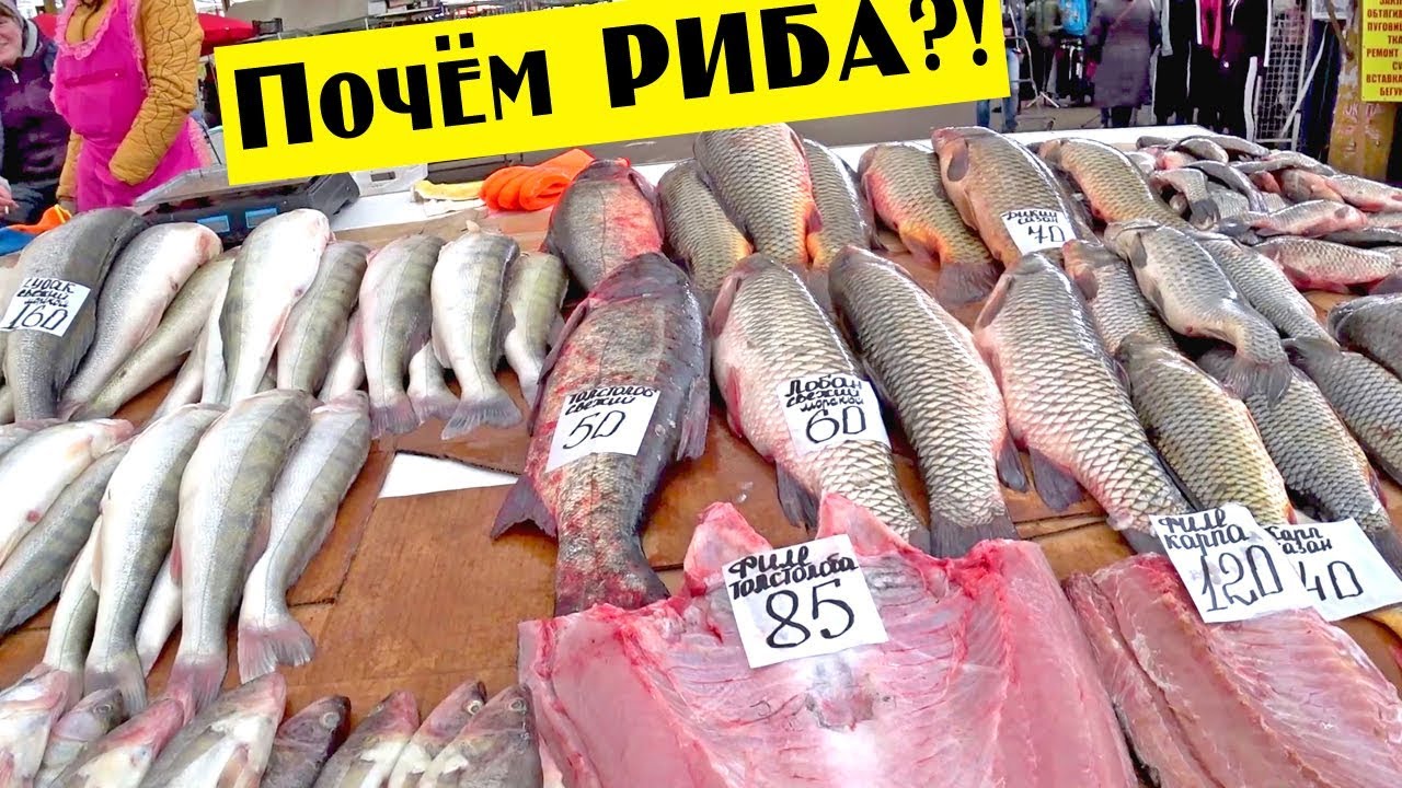 Рыбный рынок волга