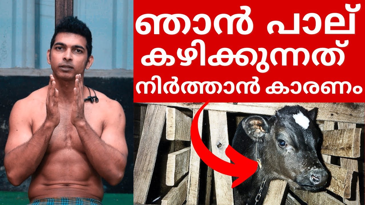  Humans Don t Need Cow s 