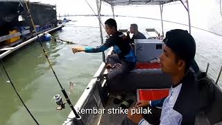 bantai emas/mancing di Sangkar Sungai Udang Penang