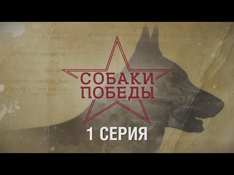 Собаки Победы -  документальный сериал о четвероногих бойцах. 1 серия