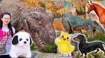 Changcady đi chơi trang trại các con vật, cho các động vật ăn: con chó, ngựa, nhím - Part 411