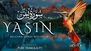 Surah Ya-sin (Yaseen) Tranquility by Tareq Mohammad يٰسٓ‎ سورة @islamicvideos.a.r