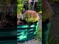 Relaxing Garden Moments