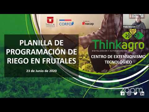 Thinkagro en línea: Planilla de Programación de Riego en Frutales