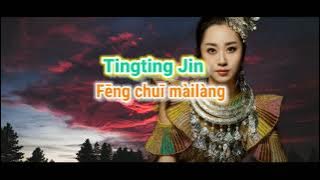 Tingting Jin - 风吹麦浪 - Feng Chui Mailang (En na en na) | w/lyrics and English translation