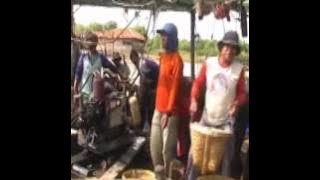 Muara Ciasem tea.flv