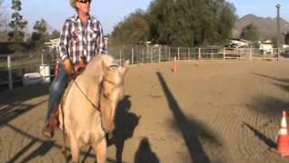 Western Dressage Part 1. By John Koscki And Maverick