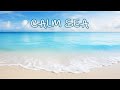 ESCUCHA LAS OLAS DEL MAR EN CALMA, MUSICA RELAJANTE, SOUND OF THE SEA 100% NATURAL