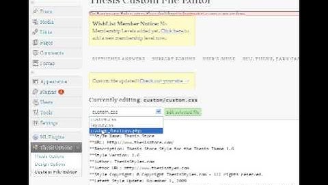 How to Find The Thesis custom.css File