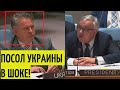 "Исполняйте МИНСКИЕ, а не СТИШКИ читайте!" Посол России в ООН РАЗМАЗАЛ украинского коллегу