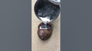 Creating a Stunning Aluminum Snail Shell #shorts #viralvideo #restoration #reels