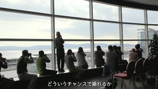 キヤノンフォトサークル「飛行機部」撮影イベント【キヤノン公式】