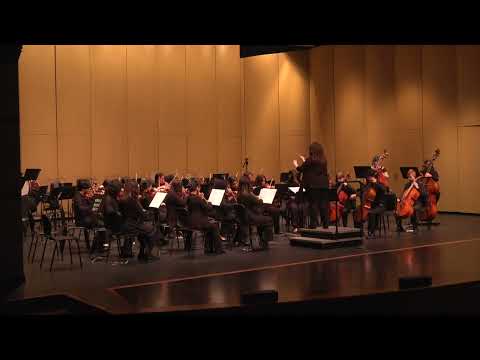 Price/Perna: The Old Boatman - NTHS Symphonic Orchestra