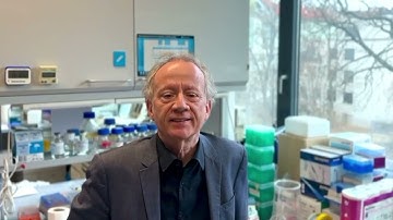 IUIS 2025 Congress: Submit your Abstract!