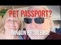 Get Your Dog&#39;s Spanish Pet Passport: EU Rabies And Worms