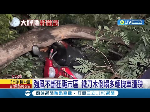 神木也撐不住... 颱風發威阿里山巨木倒 高雄路樹壓毀機車 看板倒塌頻傳 養工處忙翻24小時待命│記者 廖國雄 吳繢杉 朱韋達│【LIVE大現場】20220904│三立新聞台