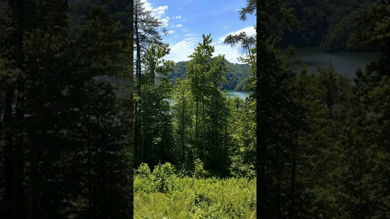 For Sale 2.9 Acres Lake Front on Norris Lake With Community Boat Dock in Tennessee