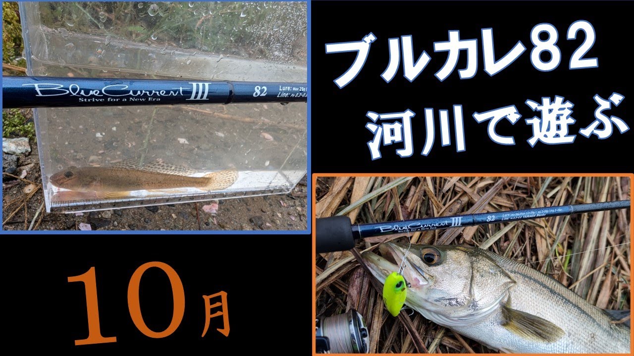 ブルーカレントⅢ 82】宮城県10月河川釣行 - YouTube