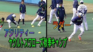 【これはキツイ！】東京ヤクルトスワローズ　アップ　【ラダー・アジリティー】