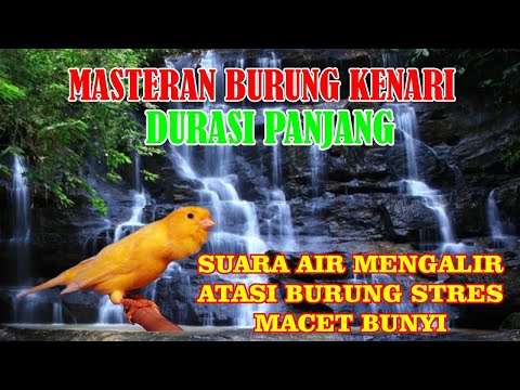 Video: Kenari Air