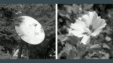 Diptych Assignment part 1