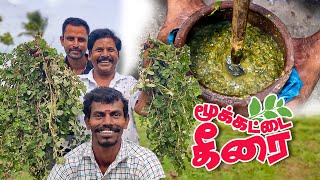 ராஜா உறுப்புகளை குணப்படுத்தும் மூக்கட்டை கீரை  முராளி கீரை கடையல் | Muraali Keerai Kdaiyal