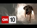 Avalanche Safety and Rescue Operations
