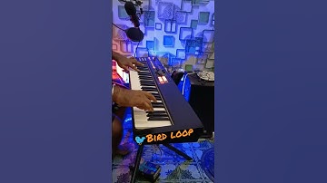 Birds Loops in Xps 10 #shorts