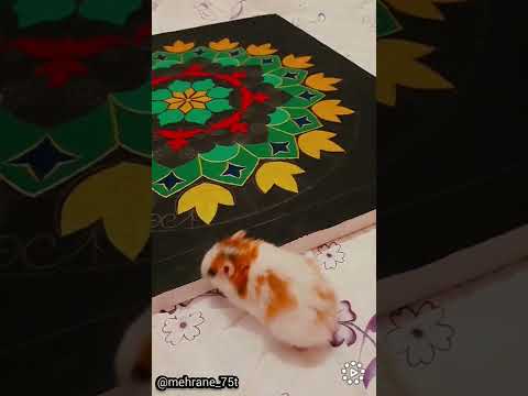 تابلو ترکیب ماندالا و نقطه کوبی